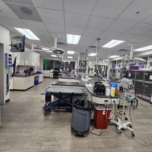 Agape Cleaning Services