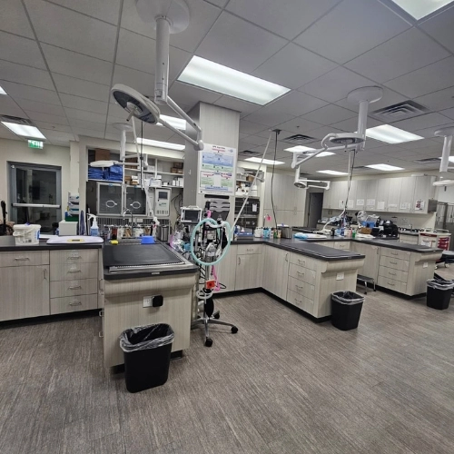 Agape Cleaning Services